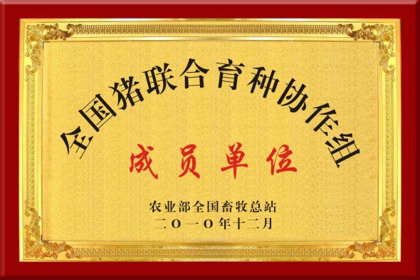 全國豬聯合育種協(xié)作租成員單位