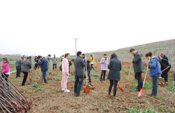 陽(yáng)晨集團(tuán)開展“創(chuàng)建綠色園林單位、弘揚(yáng)植樹造林美德“的植樹活動(dòng)